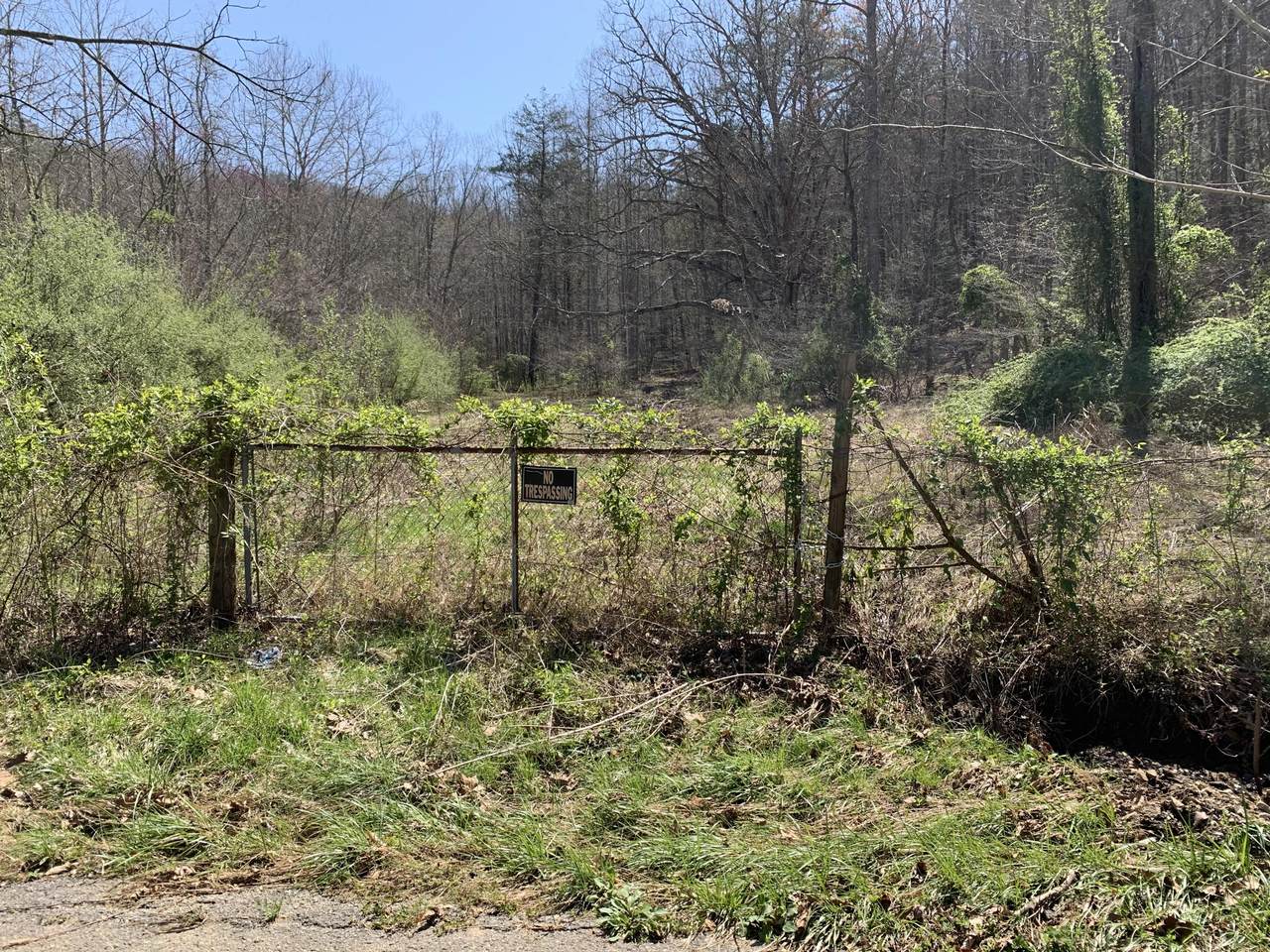 Rock Creek Lane - Photo 1