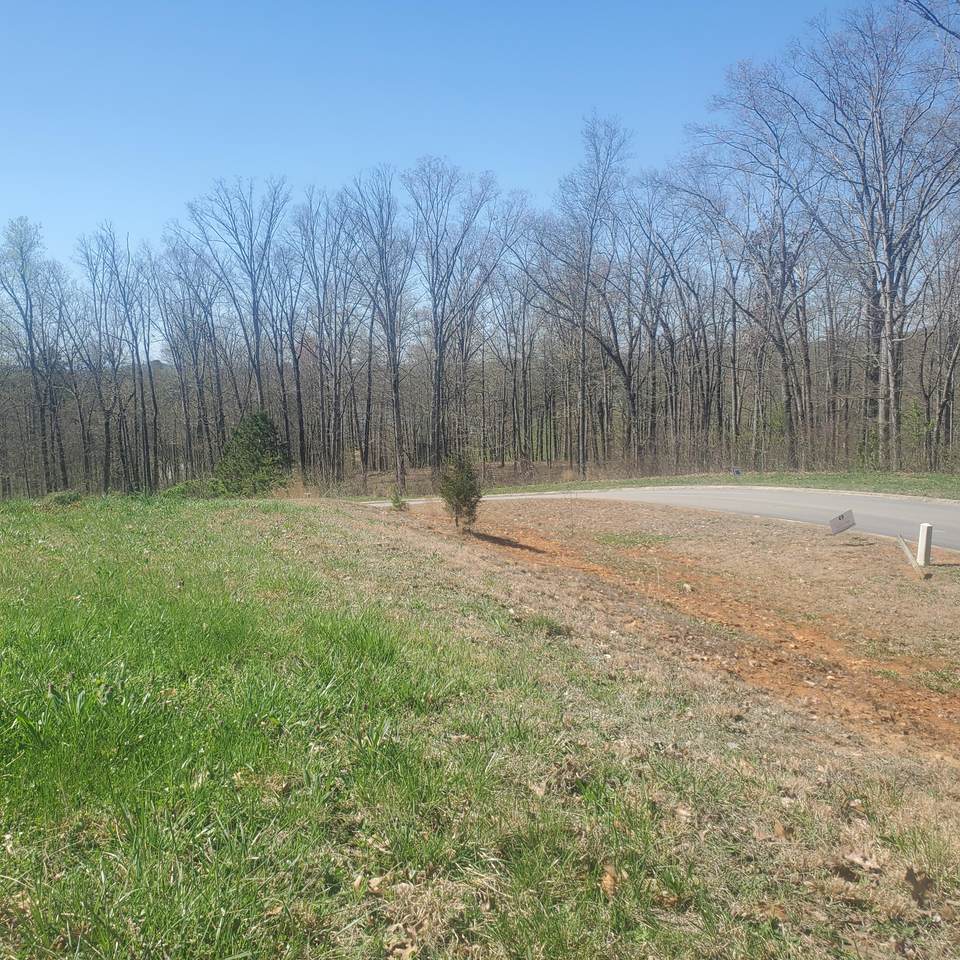 Lot 153 Tumbleweed Tr - Photo 1
