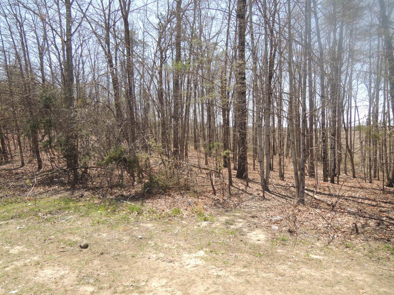 E Loomis Road - Photo 1