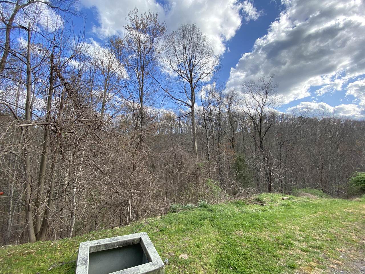 Jones Creek Lane - Photo 1