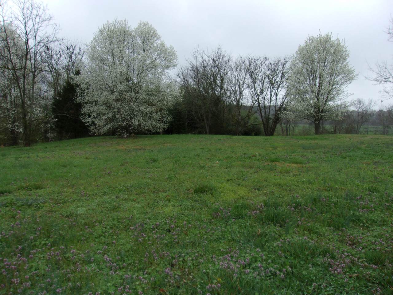 Longview Drive - Photo 1