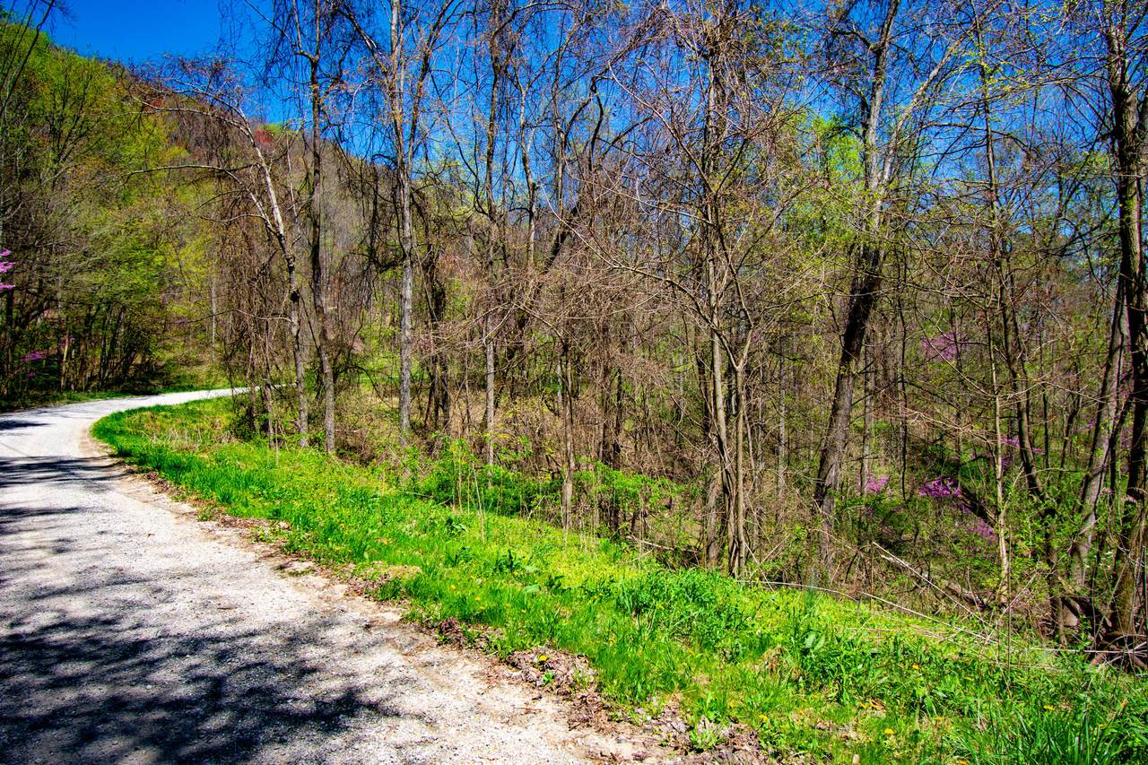Lot 25 Campbell Highlands Drive - Photo 1