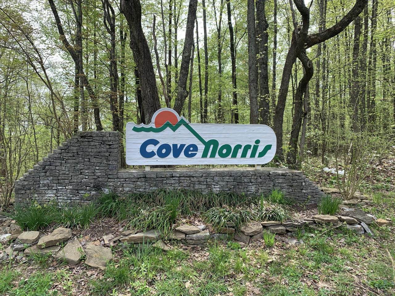 Cove Norris Rd - Photo 1