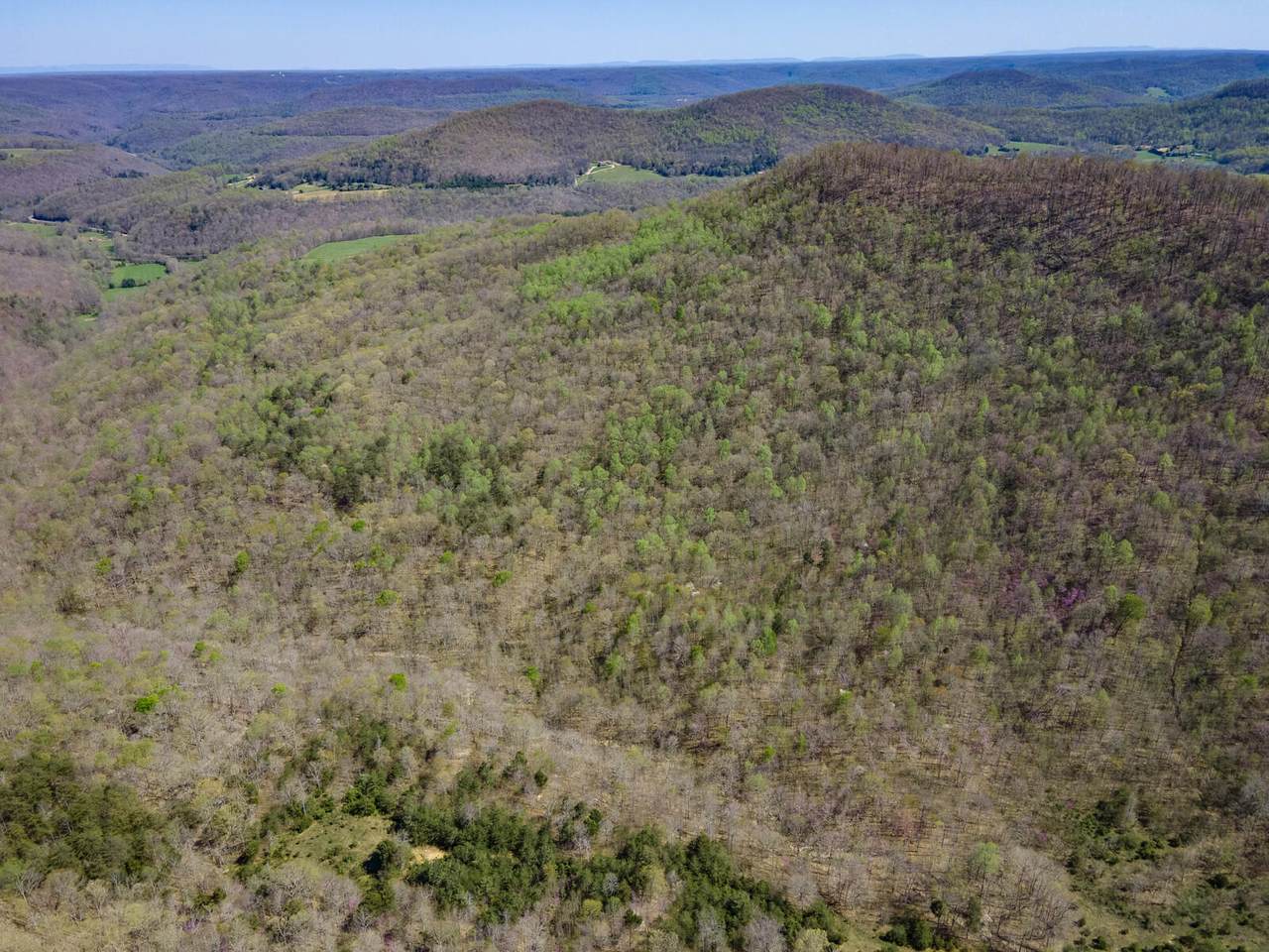 00 Off Dry Hollow Rd - Photo 1