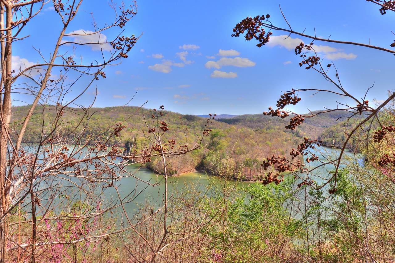 Lot 873 Clearwater Lane - Photo 1