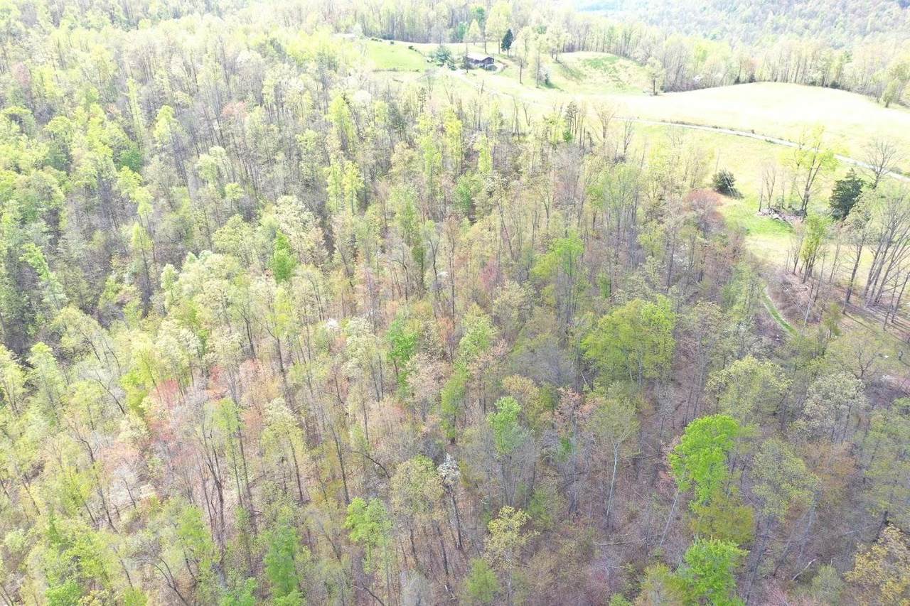 Buzzard Roost Tract 3 - Photo 1