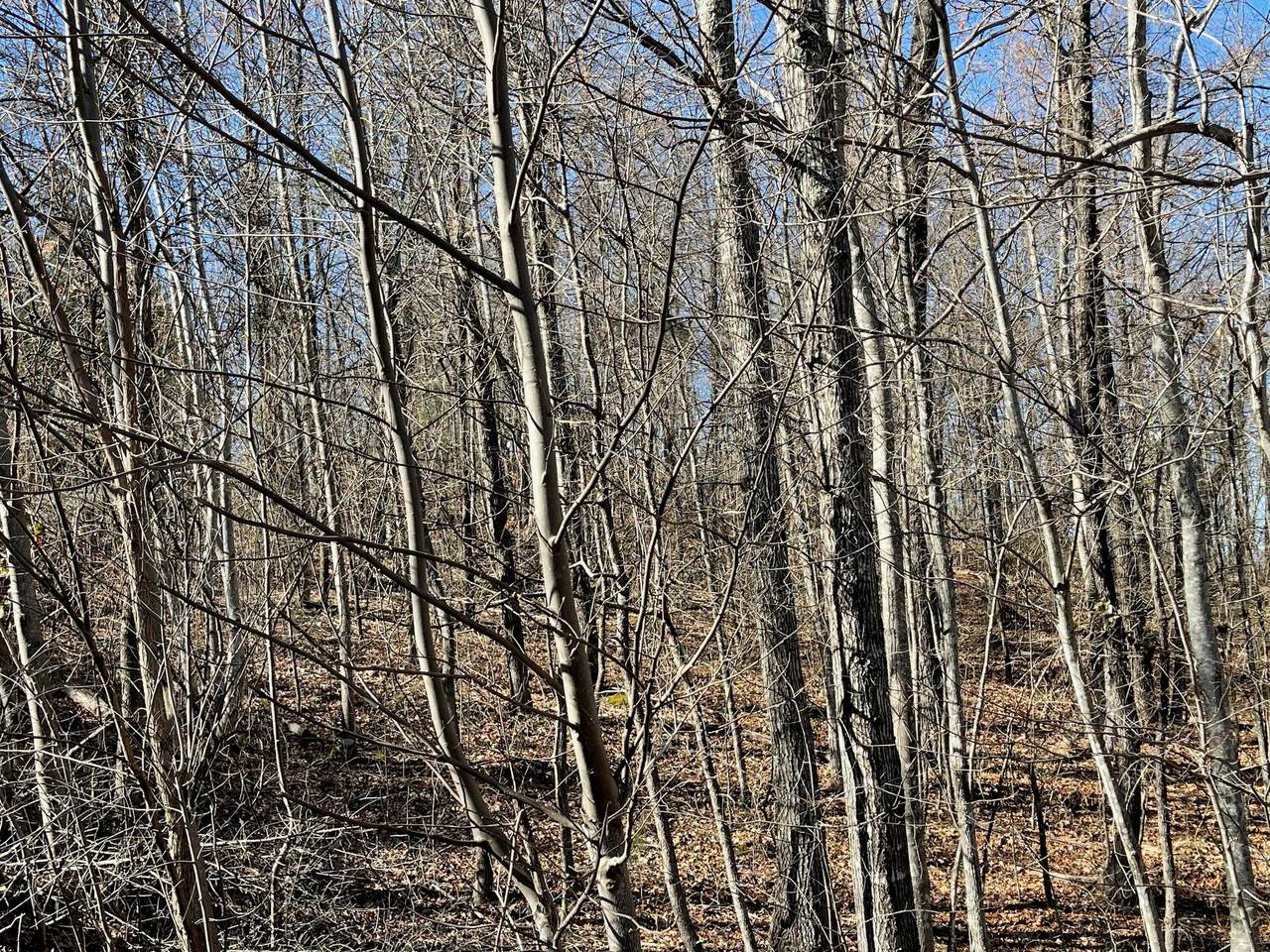 Patriot Lane - Photo 1