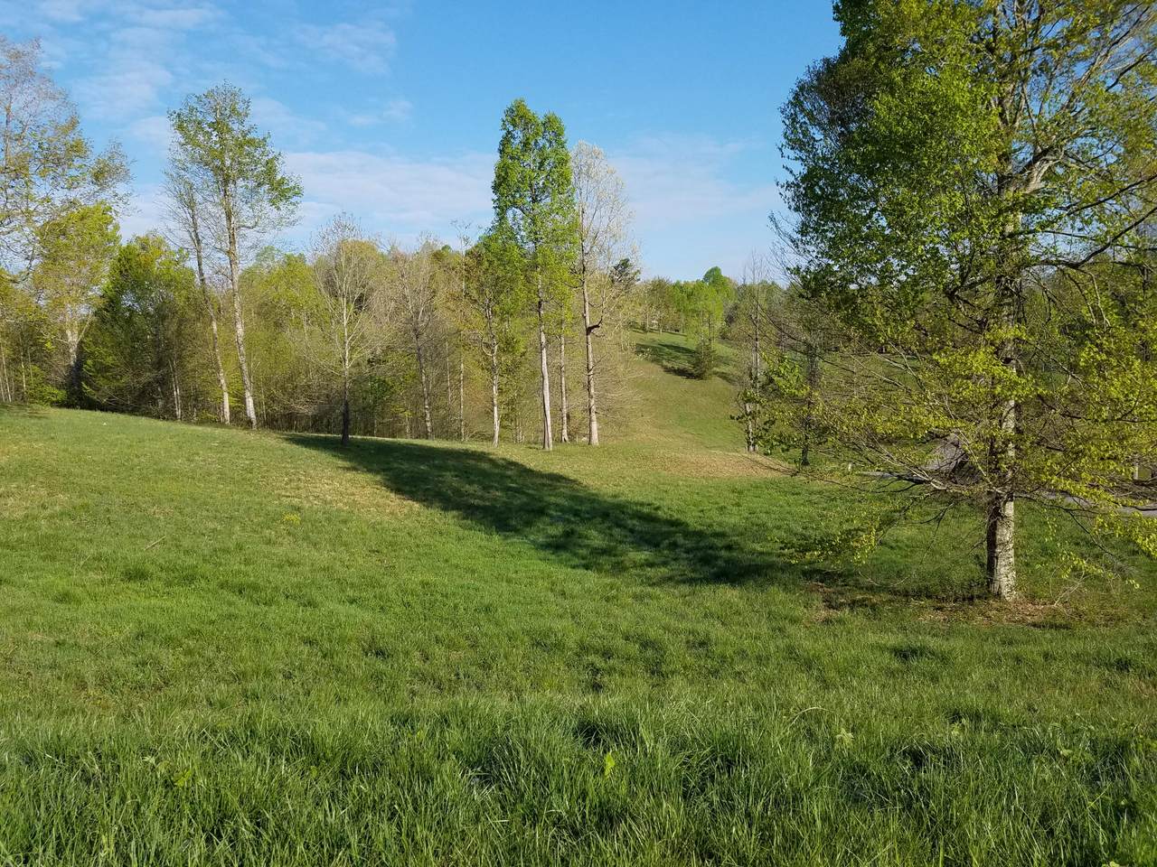 Red Bud (Lot 14) Lane - Photo 1