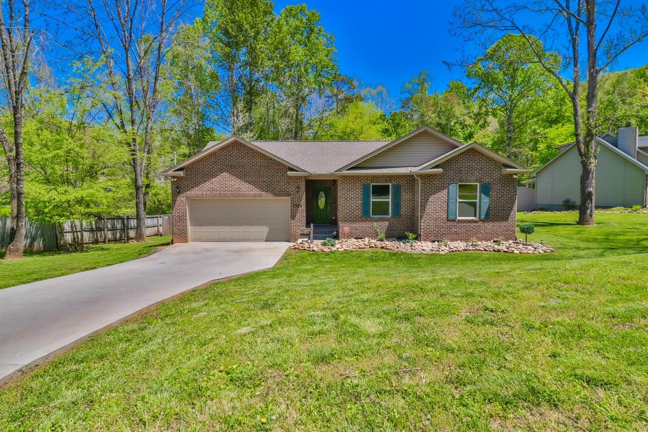 7024 Shalidar Drive - Photo 1