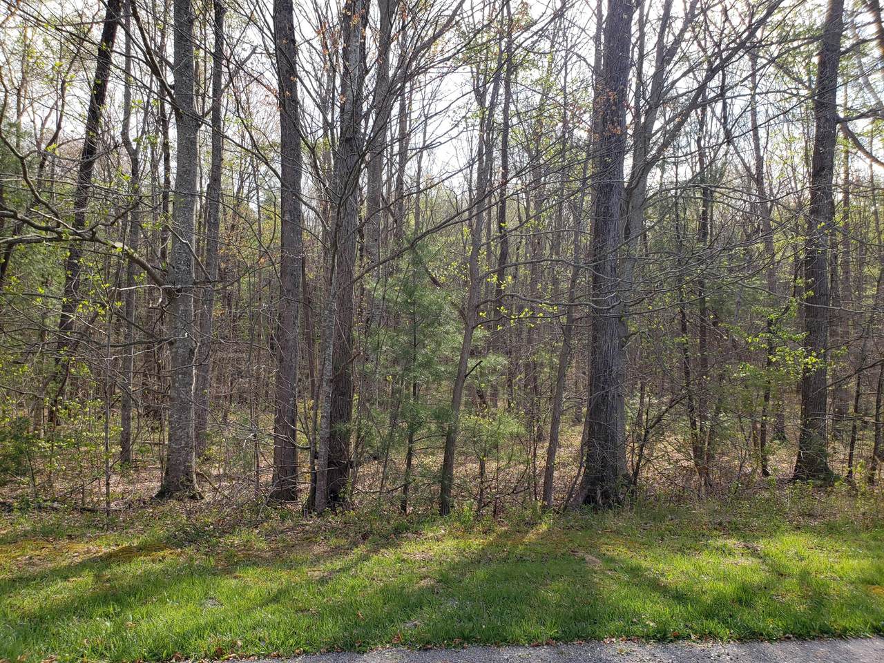 15 & 16 Evergreen Drive - Photo 1