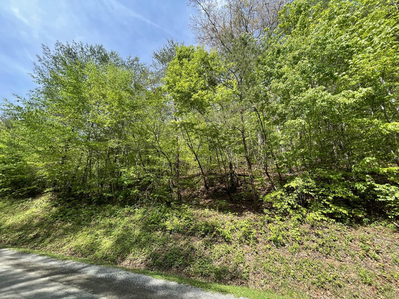 Cane Creek Mountain Rd - Photo 1
