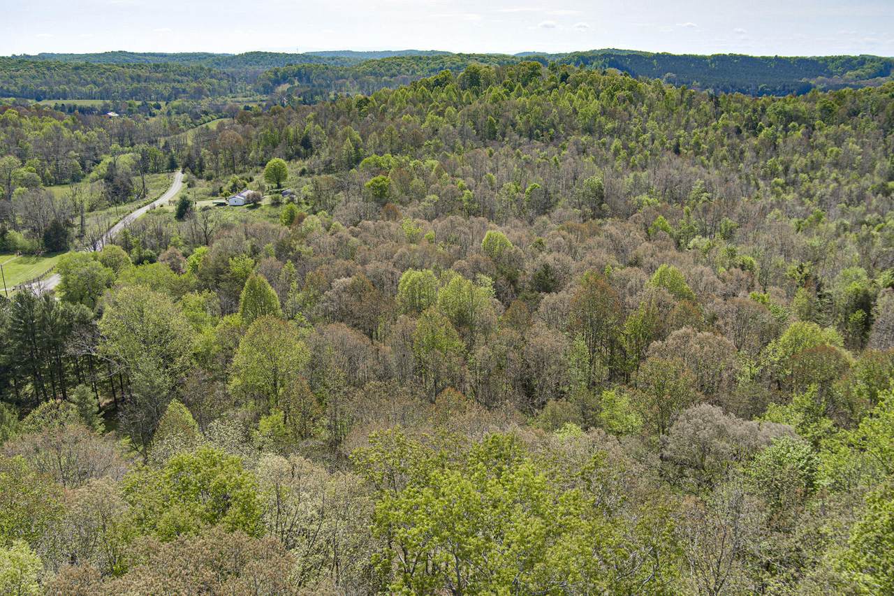 000 County Road 289 - Photo 1
