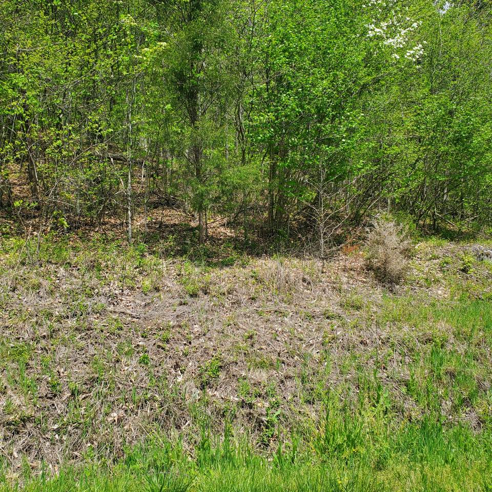 Lot 96 Whistle Valley Rd - Photo 1