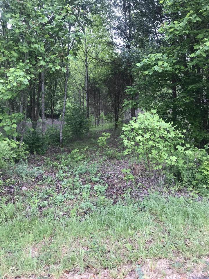 Hidden Brook Drive - Photo 1