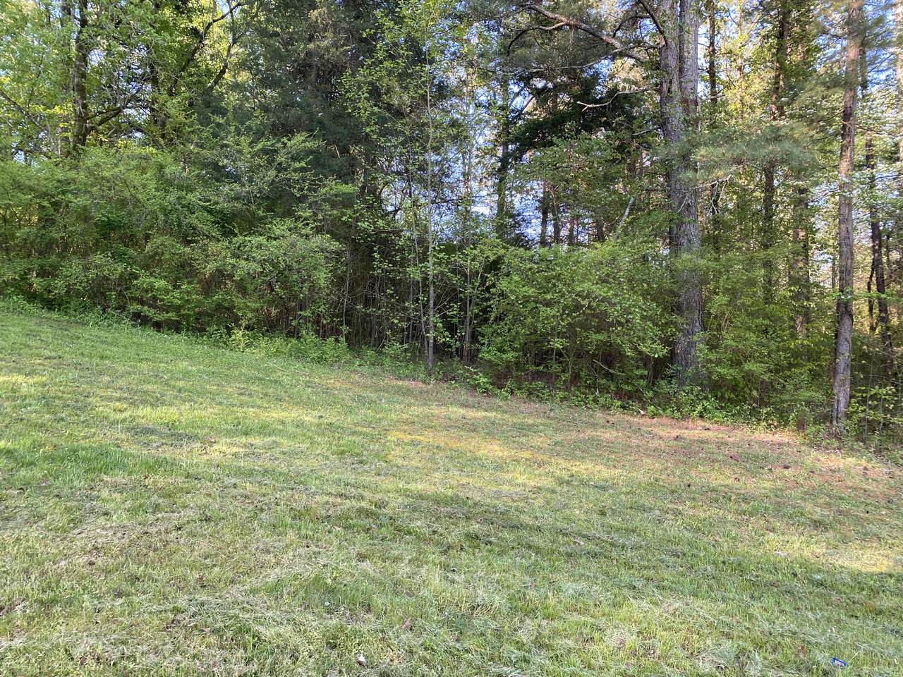 772 Wood Duck Drive - Photo 1