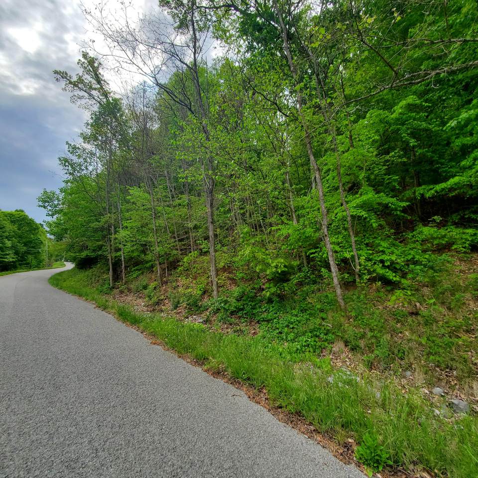 Lot 130 Whistle Valley Rd - Photo 1