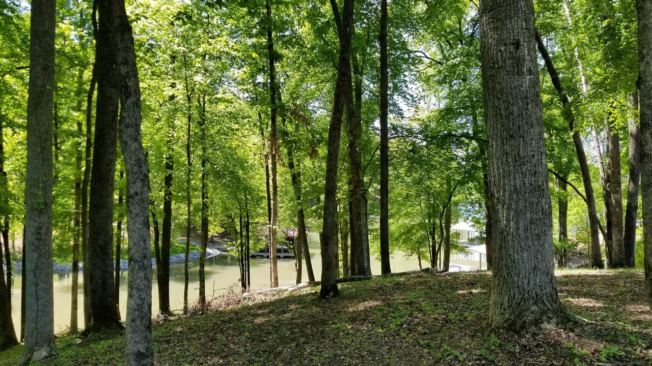 Waterfront Way - Photo 1