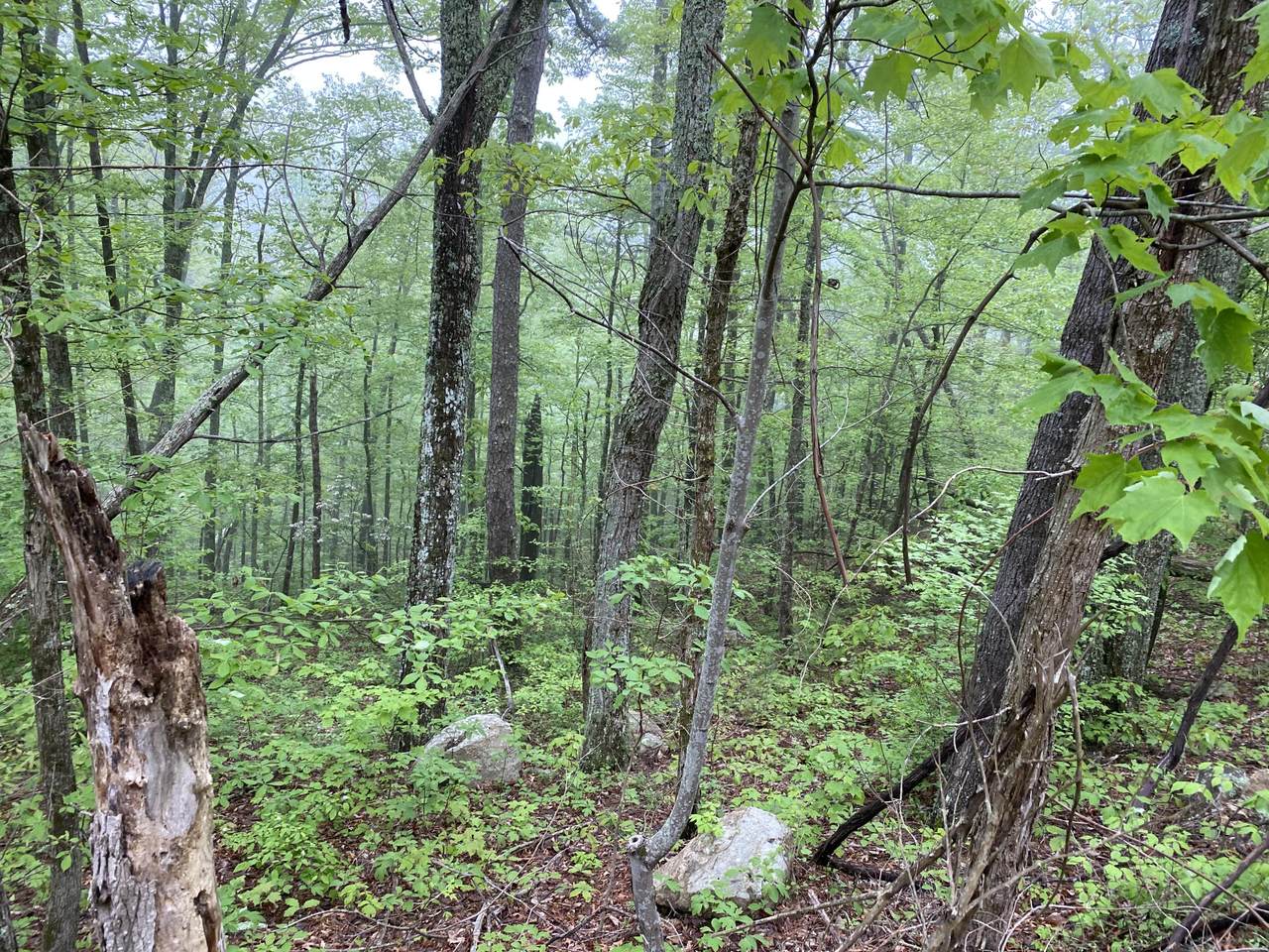 Lot 21 Linwood Court - Photo 1