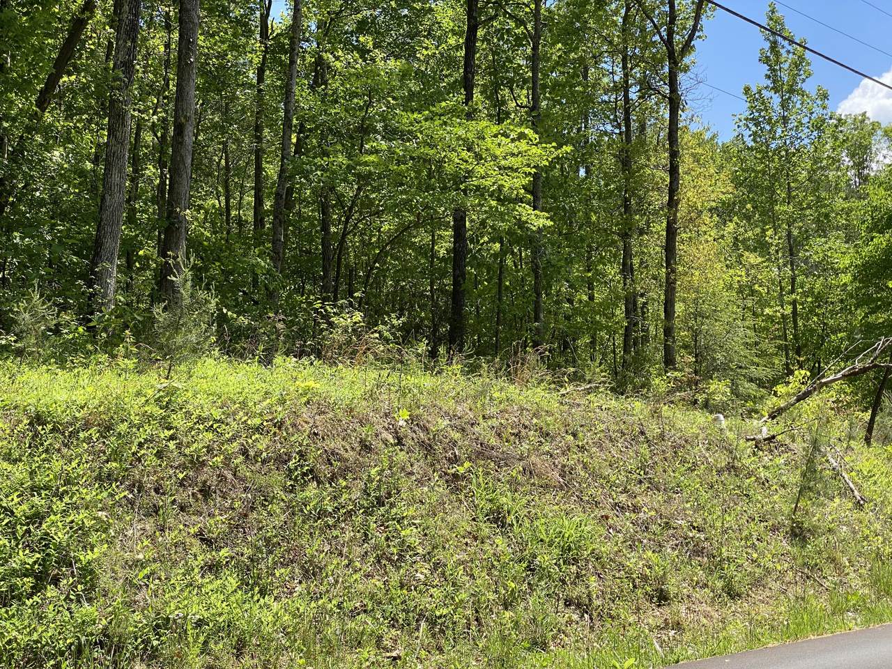 Lot 59 Alpine Drive - Photo 1