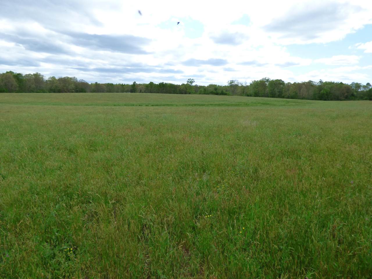 Old Mail Rd - Photo 1