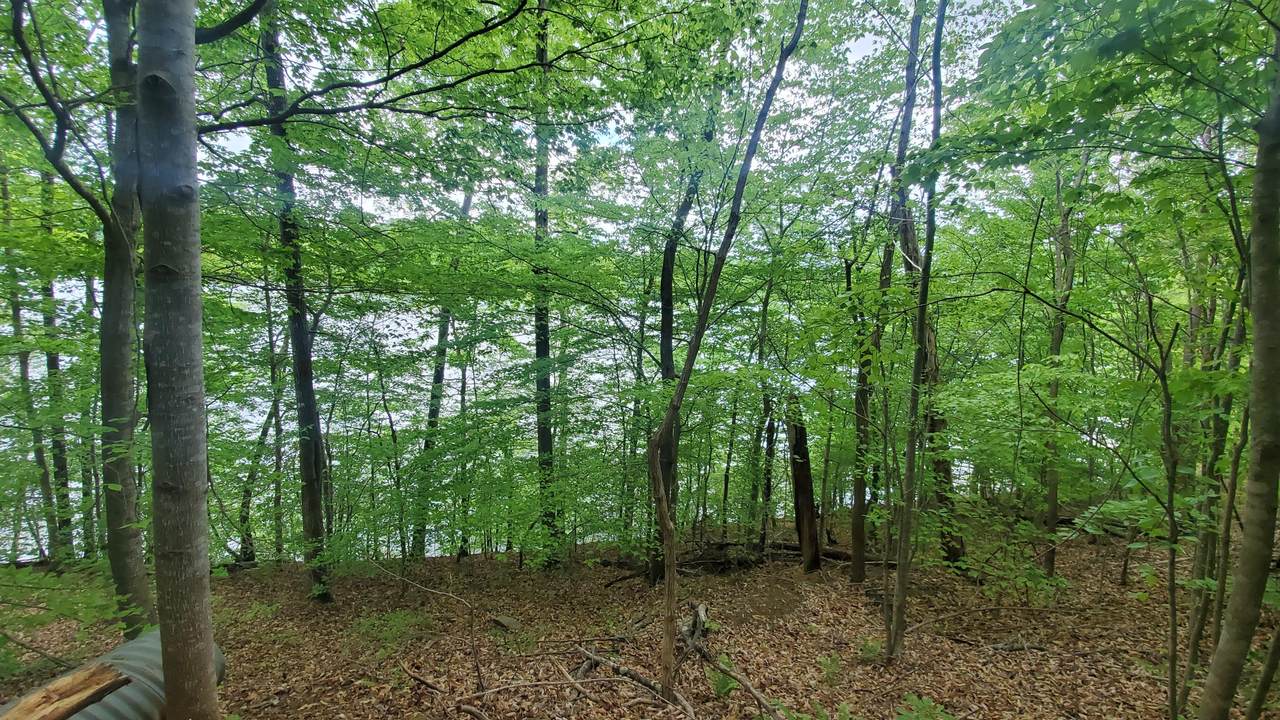 396 Creekside Drive - Photo 1