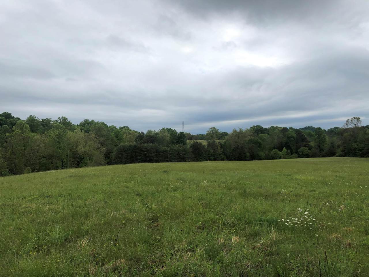 Lot 2 Bays Mountain Rd - Photo 1