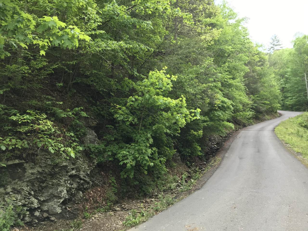 Klaver Rd - Photo 1