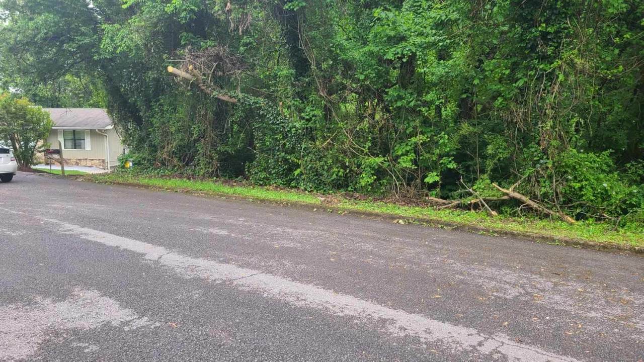 Ridge Lane - Photo 1