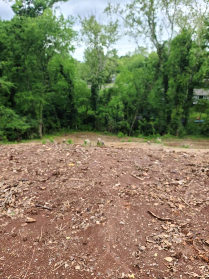 8204 Tamarack Rd - Photo 1