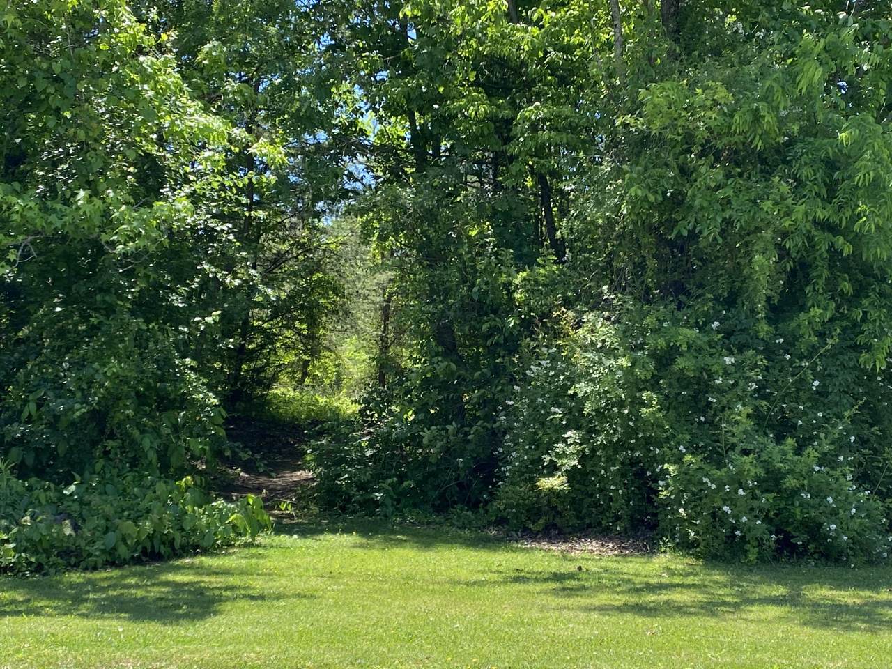 1057 Saint Johns Drive - Photo 1