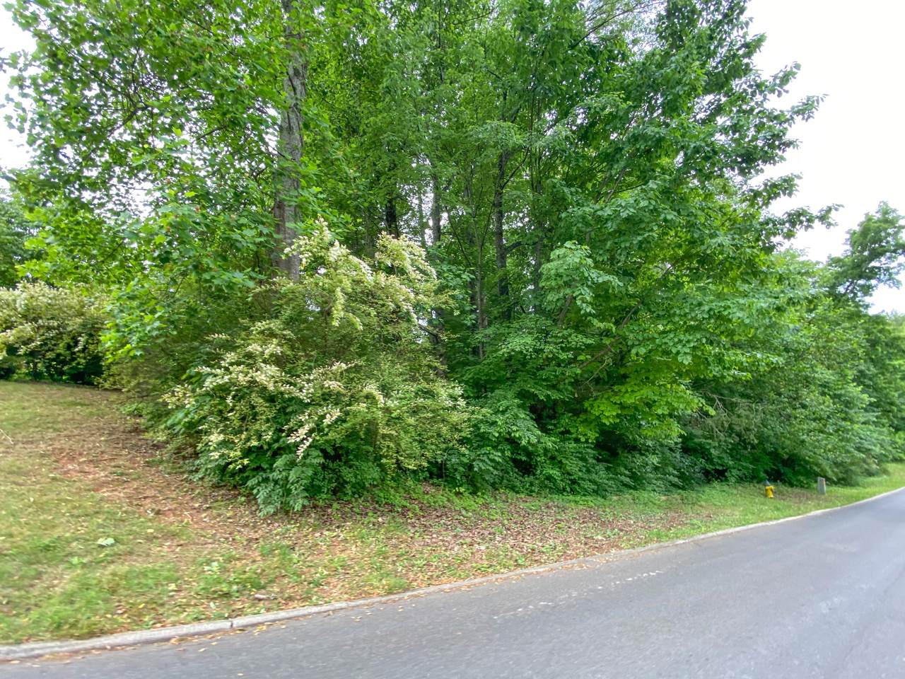 729 Devictor Drive - Photo 1
