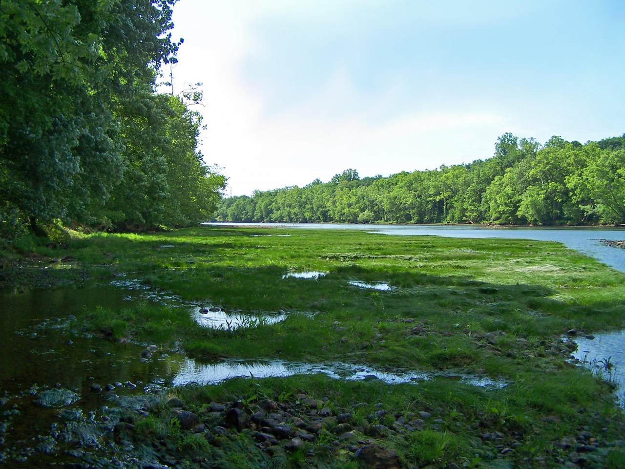 Cherokee Explosive Rd - Photo 1