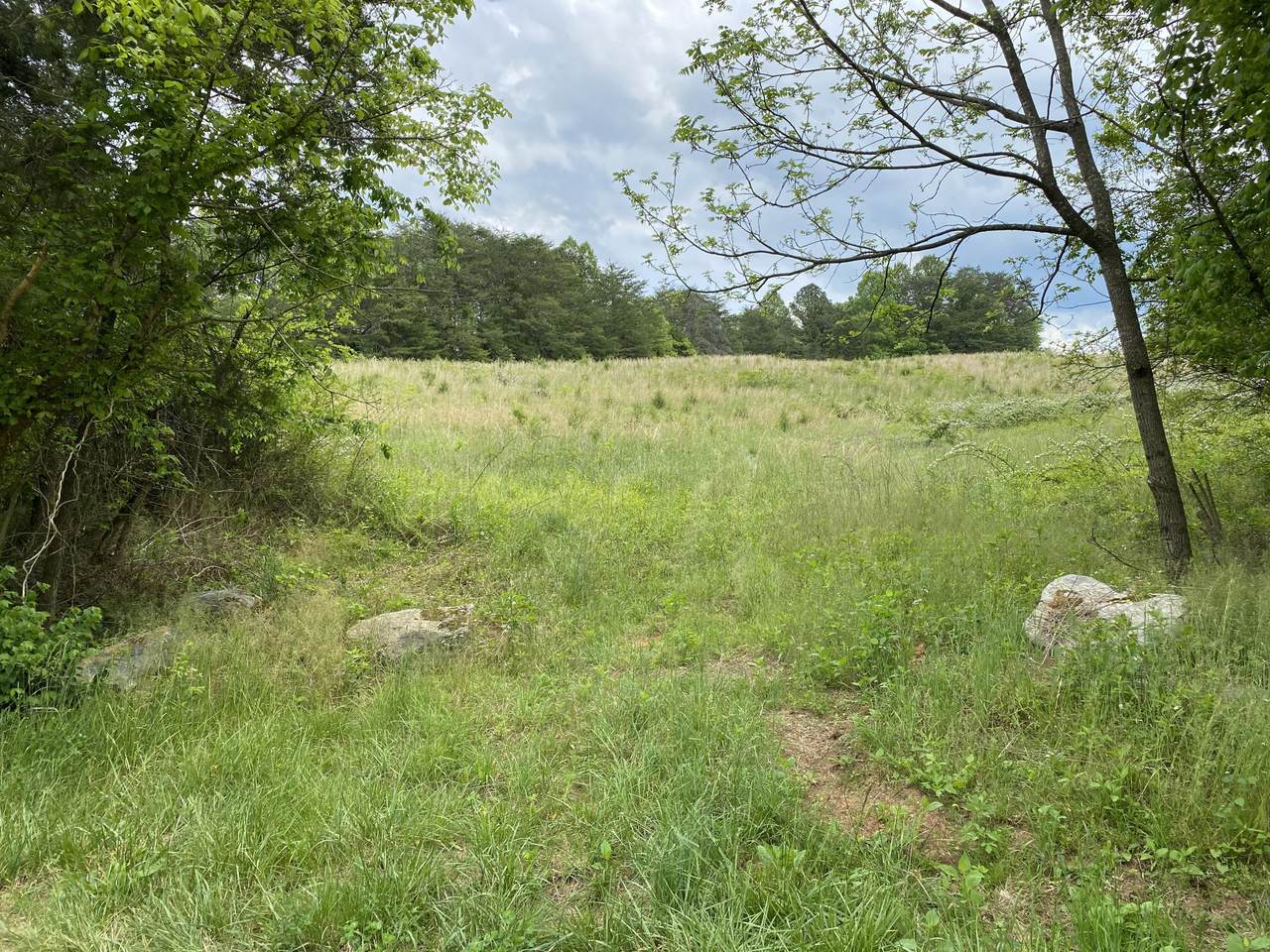 15.5 Ac Lower English Creek Rd - Photo 1