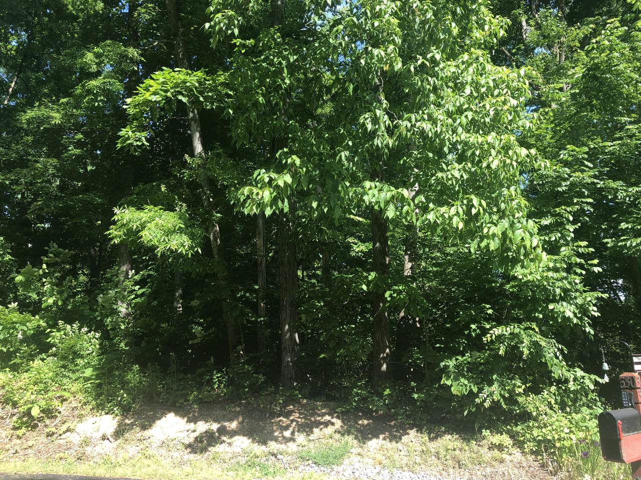 328 Dudala Point - Photo 1