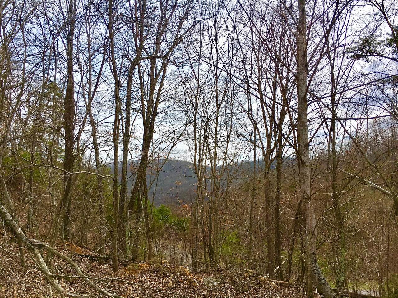 Lot 290 Bluff View Rd - Photo 1