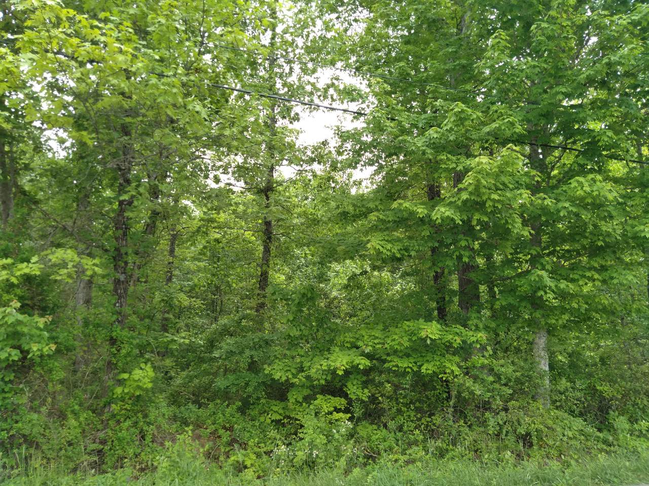 Pomona Rd, Lot 1 - Photo 1