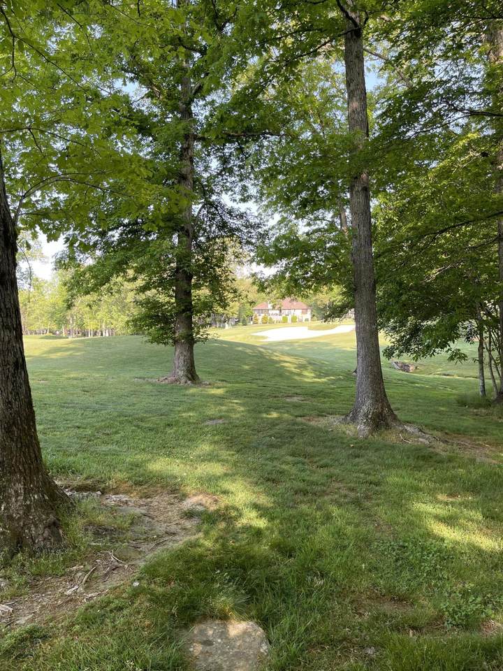 115 Forest Hill Drive - Photo 1
