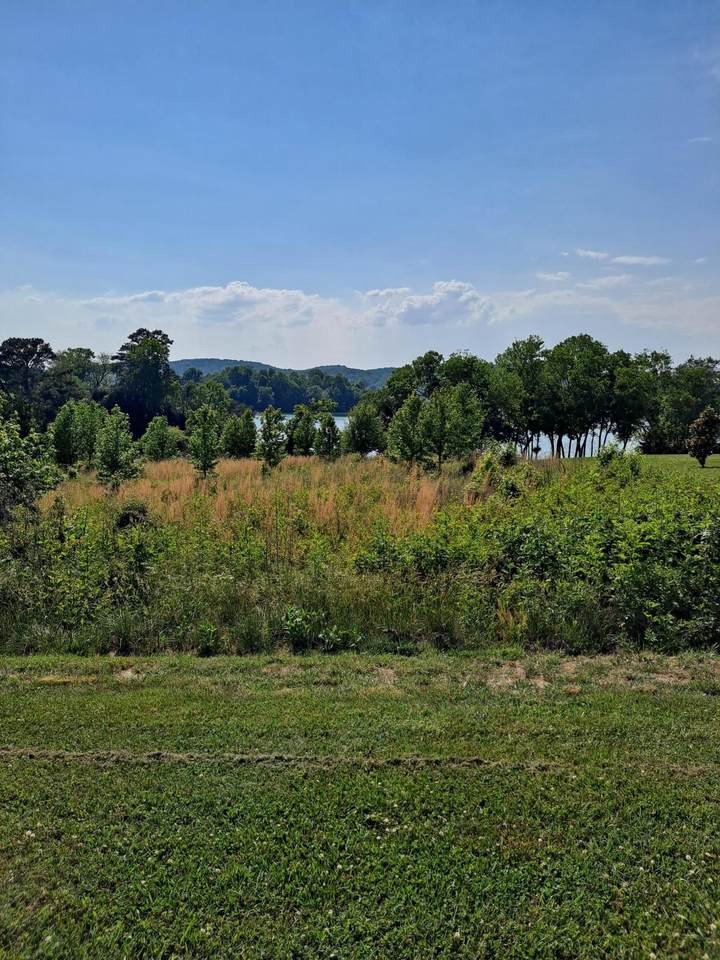 312 Shore Drive - Photo 1