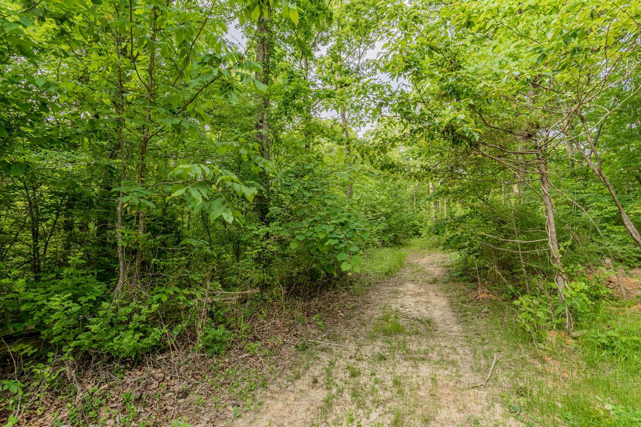Governor John Sevier Hwy - Photo 1