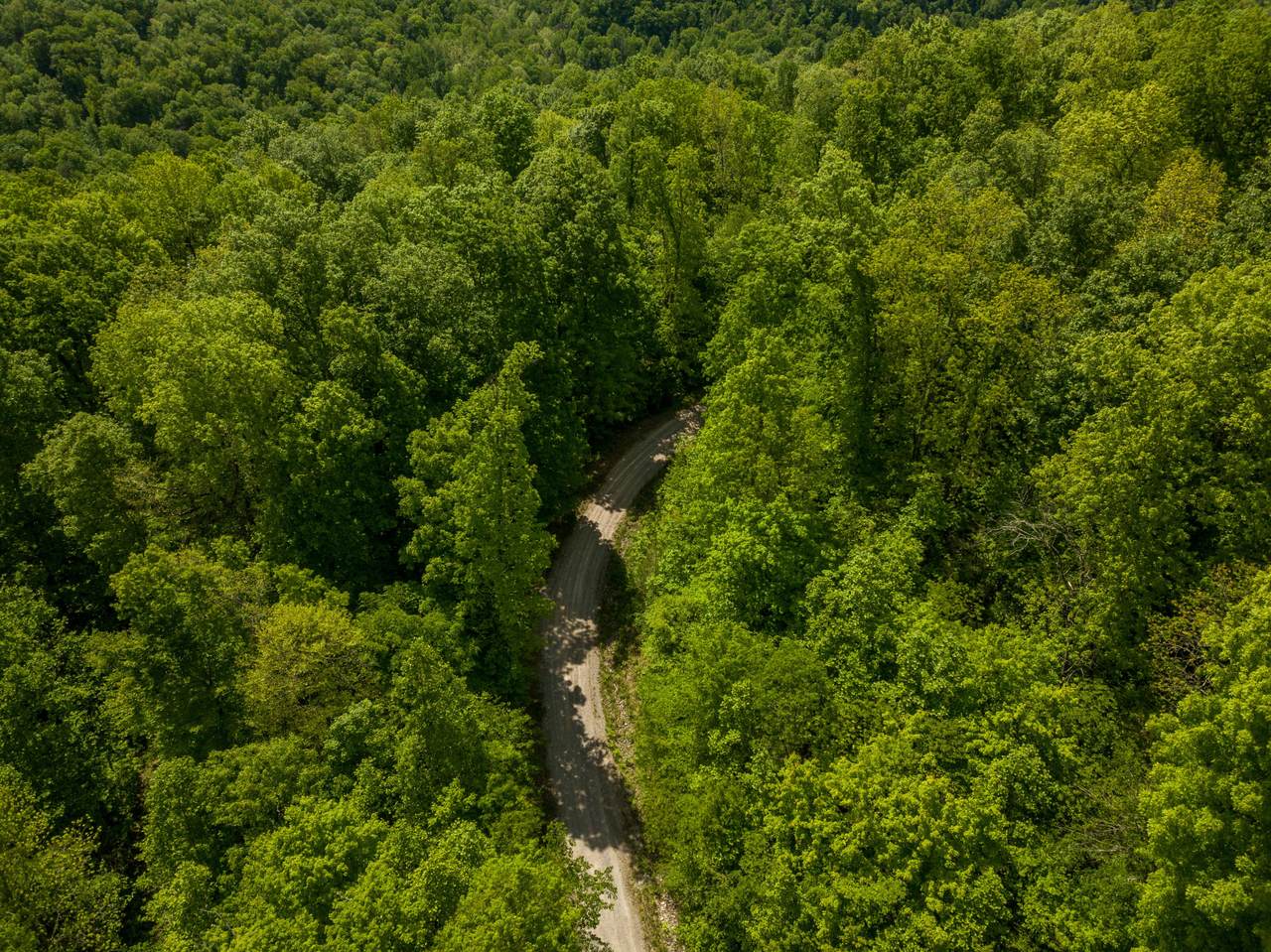 E Fork Obey River - Photo 1