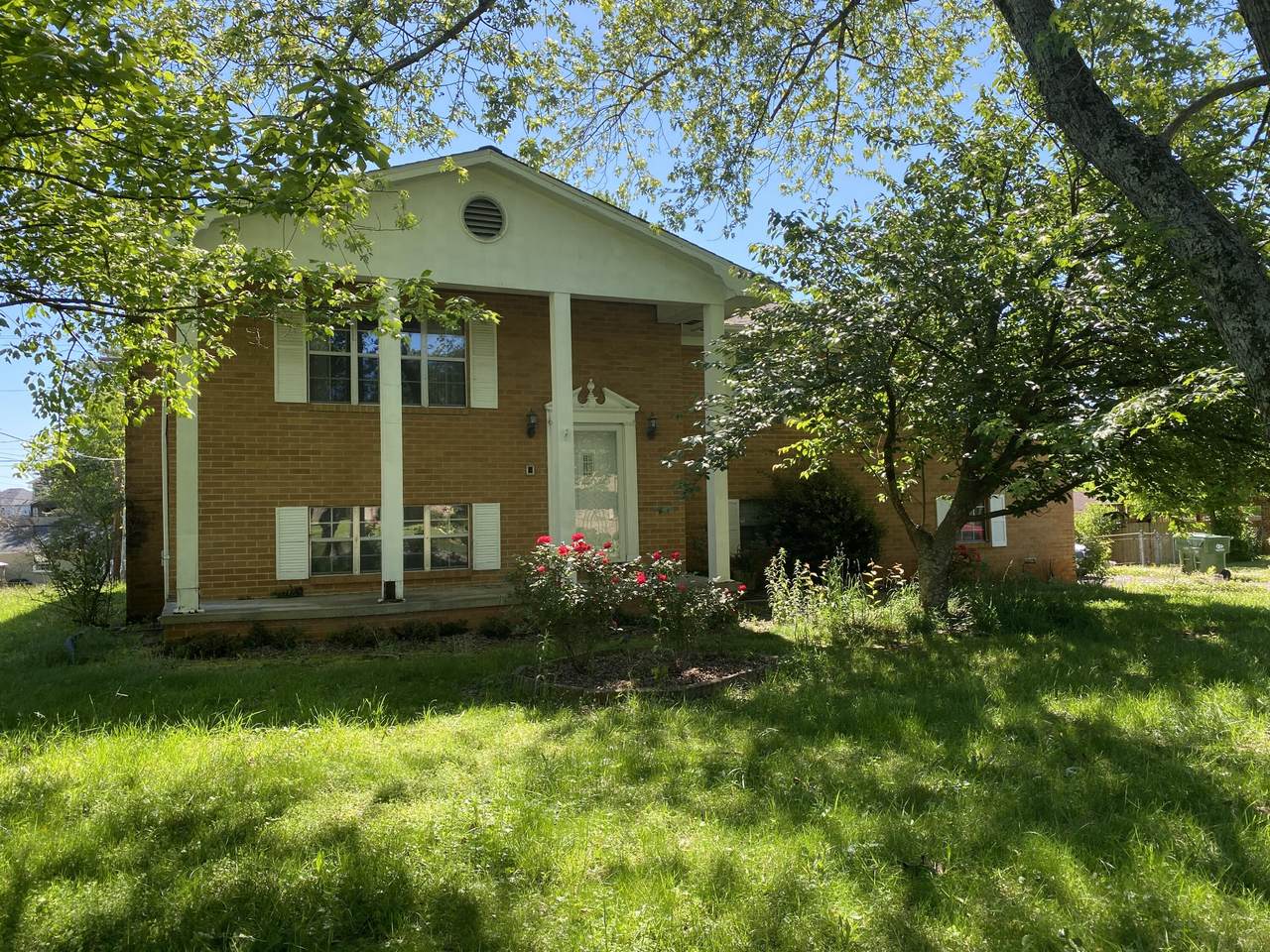 1207 Lenore Lane - Photo 1