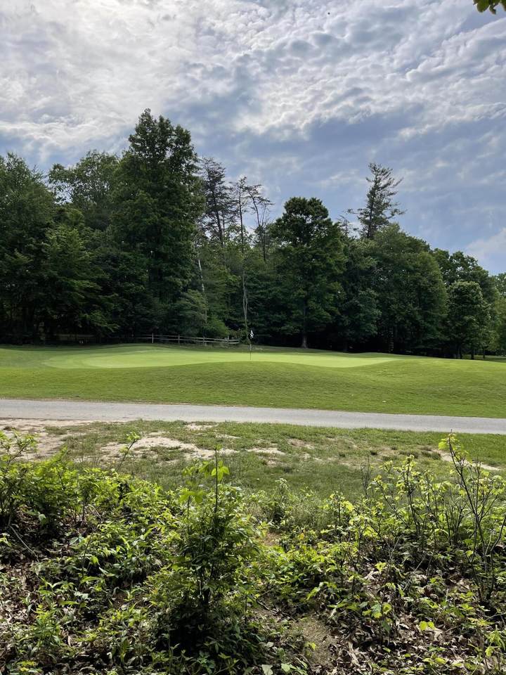 Lot 10 Forest View Drive - Photo 1