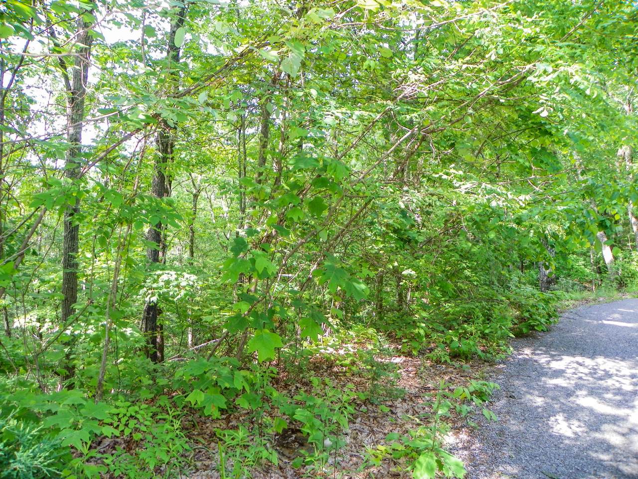 Lot# 65 Dollys Drive - Photo 1