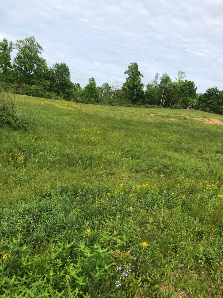 4.82 Ac Hwy 70 W - Photo 1