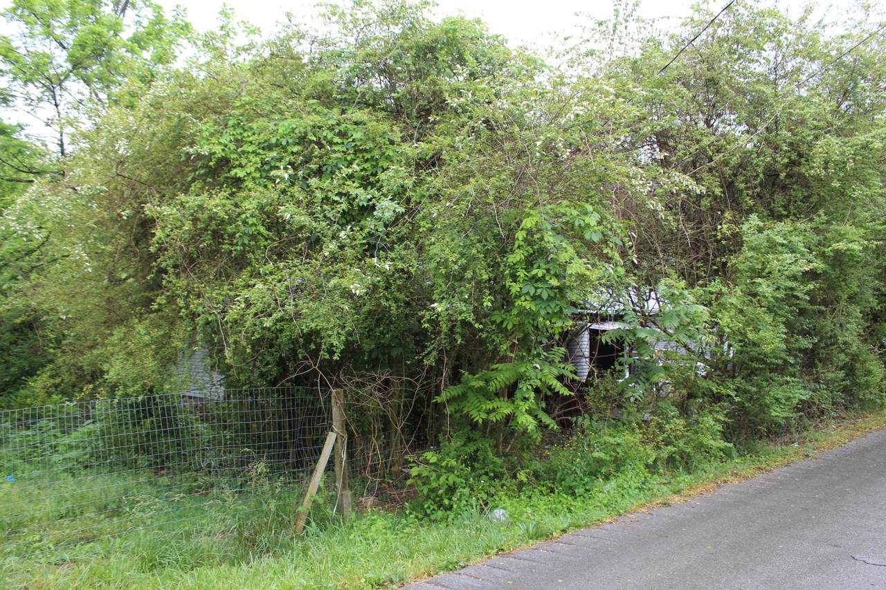 4163 Hwy 441 - Photo 1