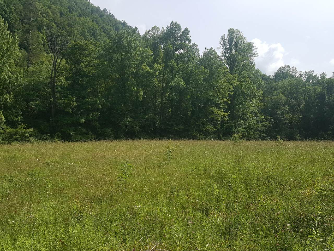 Millers Cove Rd - Photo 1