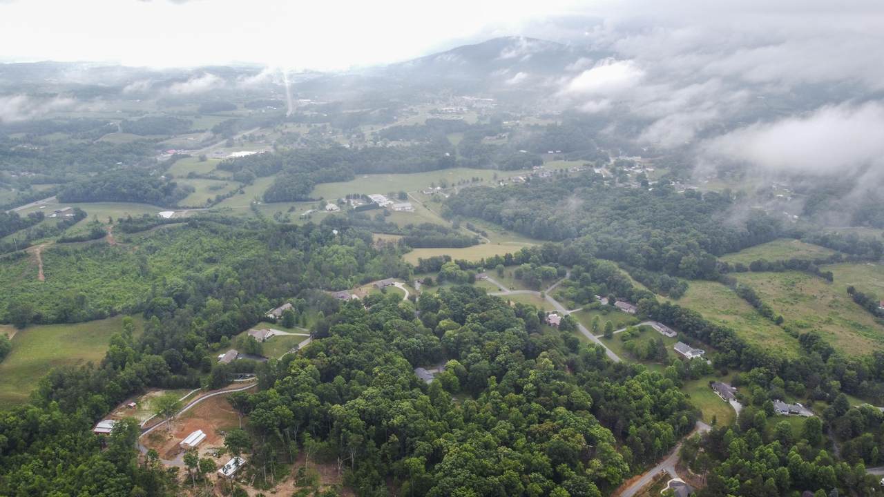 Murphy Farm Way - Photo 1
