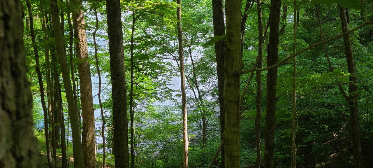 Lot 183 Lakeview Drive - Photo 1