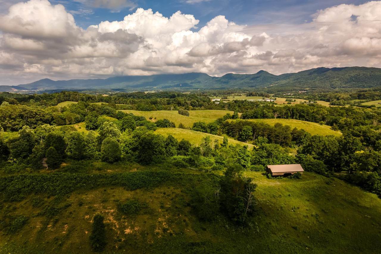 21.9 ac Megan View Lane - Photo 1