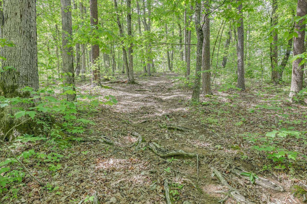 Shular Hollow Way - Photo 1